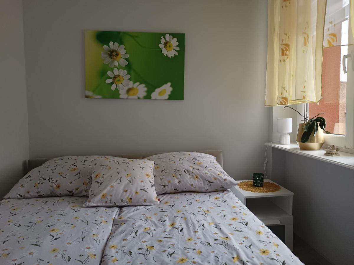 Szmaragdowy Apartament Przy Ulicy Opolskiej Tarnowskie Góry Buitenkant foto