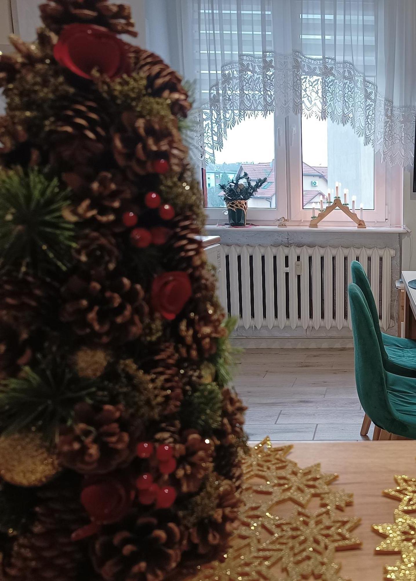 Szmaragdowy Apartament Przy Ulicy Opolskiej Tarnowskie Góry Buitenkant foto